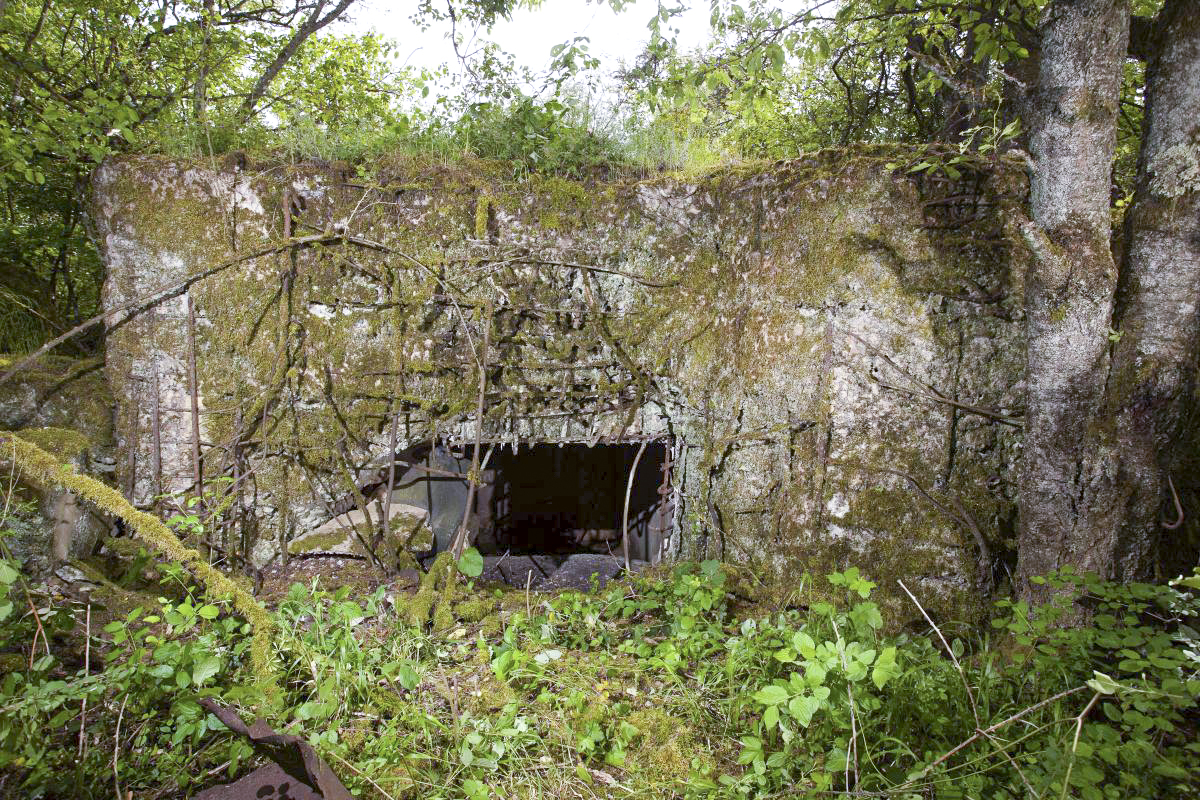 Ligne Maginot - Cb10ter - SCHUMACHERBERG (Blockhaus pour arme infanterie) - 