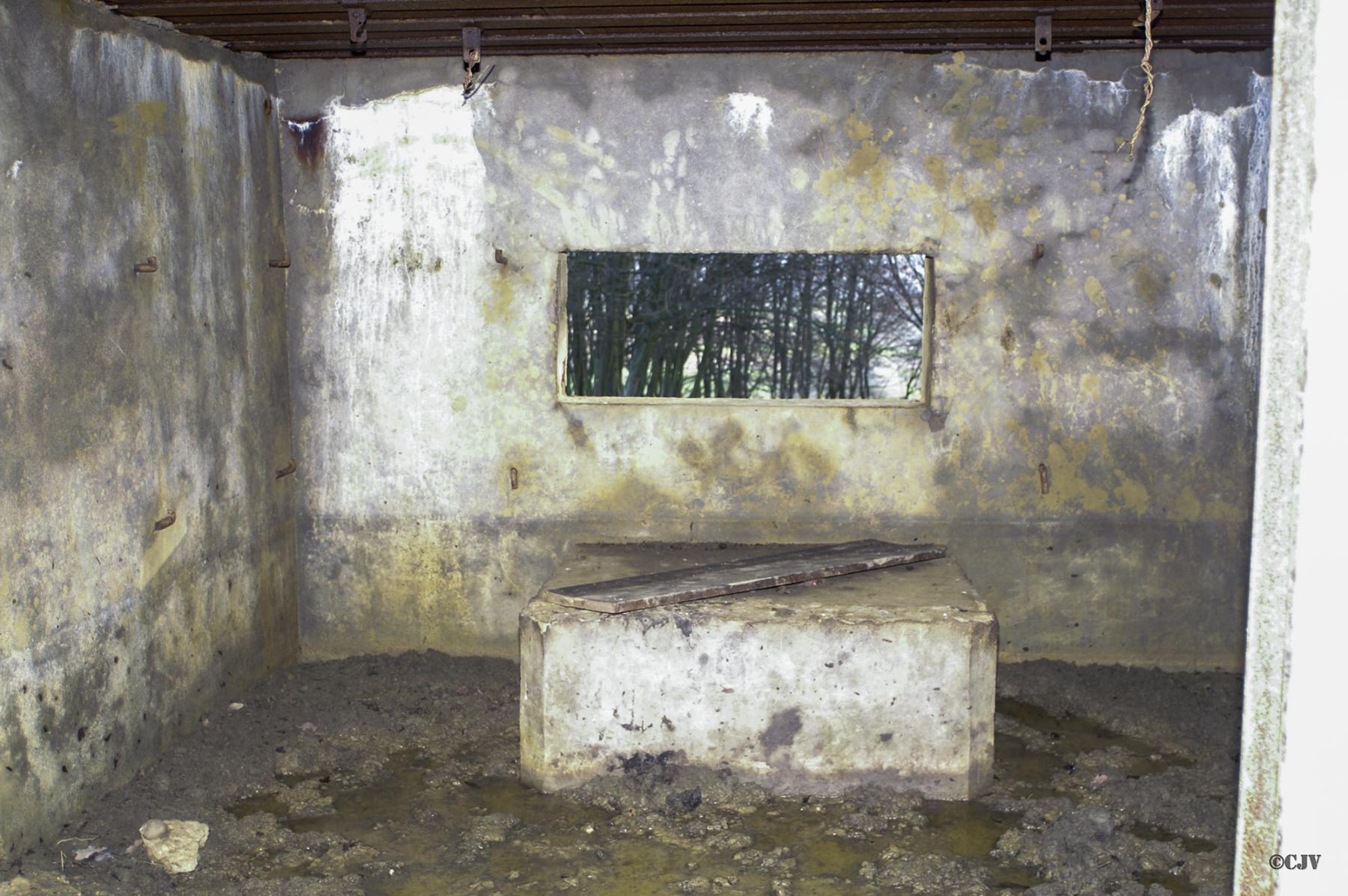 Ligne Maginot - CB116 - SONNENBERG 01 - (Blockhaus pour canon) - 