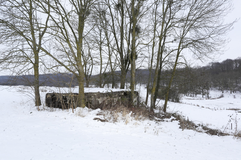 Ligne Maginot - CB110 - FELSEN - (Blockhaus pour canon) - Vue générale
En arrière plan, la route menant aux entrées de l'ouvrage du Galgenberg.