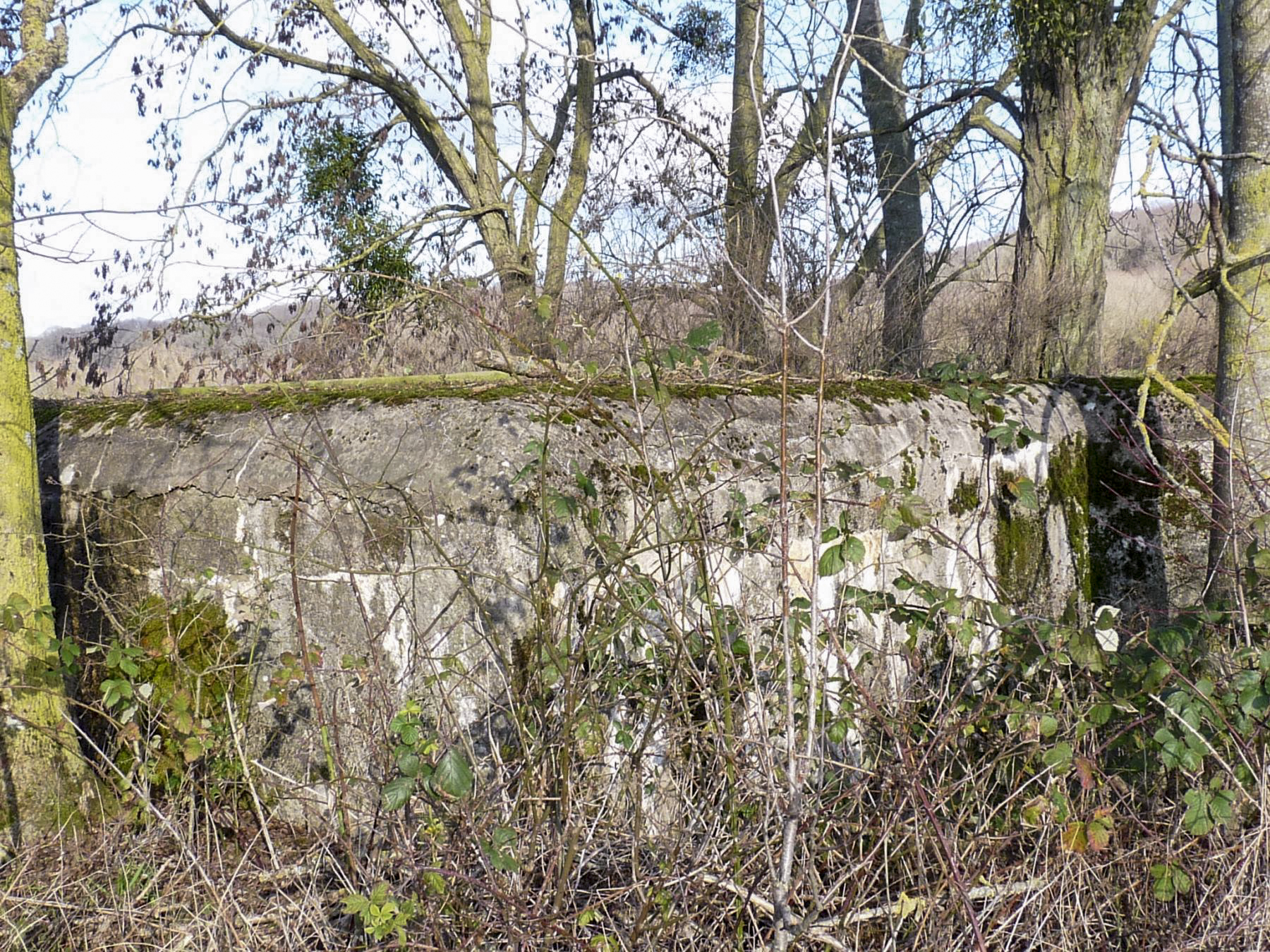 Ligne Maginot - CB110 - FELSEN - (Blockhaus pour canon) - 