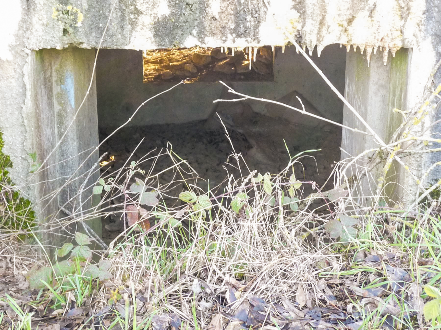 Ligne Maginot - CB110 - FELSEN - (Blockhaus pour canon) - L'entrée pour la pièce antichar