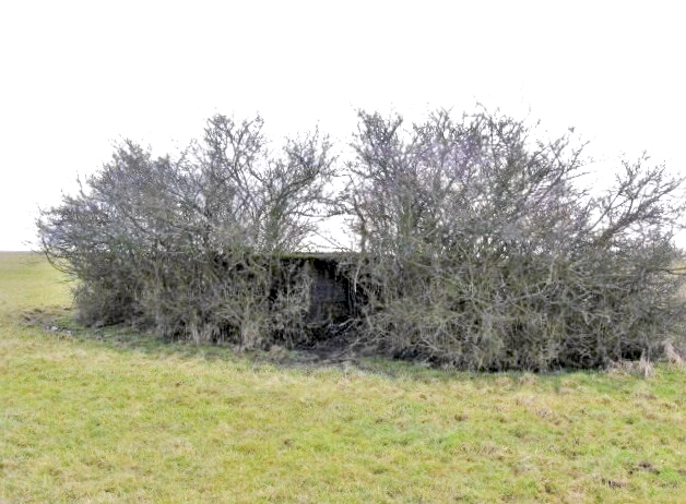 Ligne Maginot - SALWALD 1 - (Blockhaus pour arme infanterie) - Vue générale - Christian LENHARD