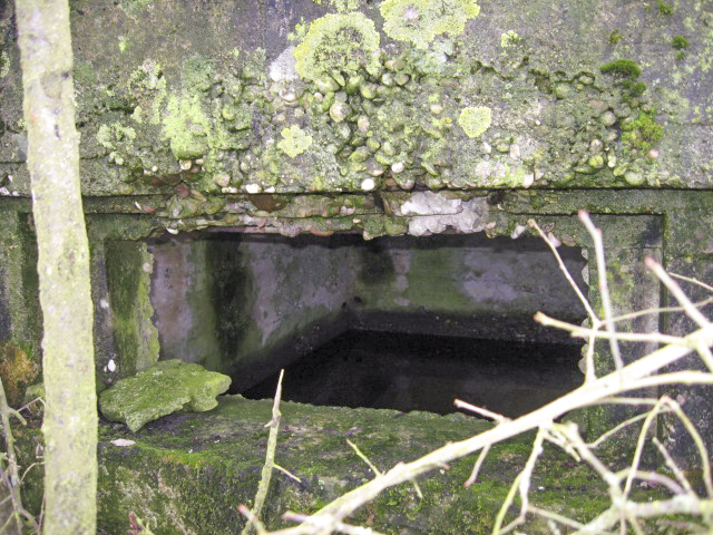 Ligne Maginot - SALWALD 1 - (Blockhaus pour arme infanterie) - Créneau mitrailleuse