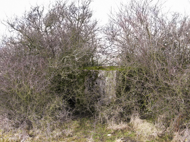 Ligne Maginot - SALWALD 1 - (Blockhaus pour arme infanterie) - Façade arrière