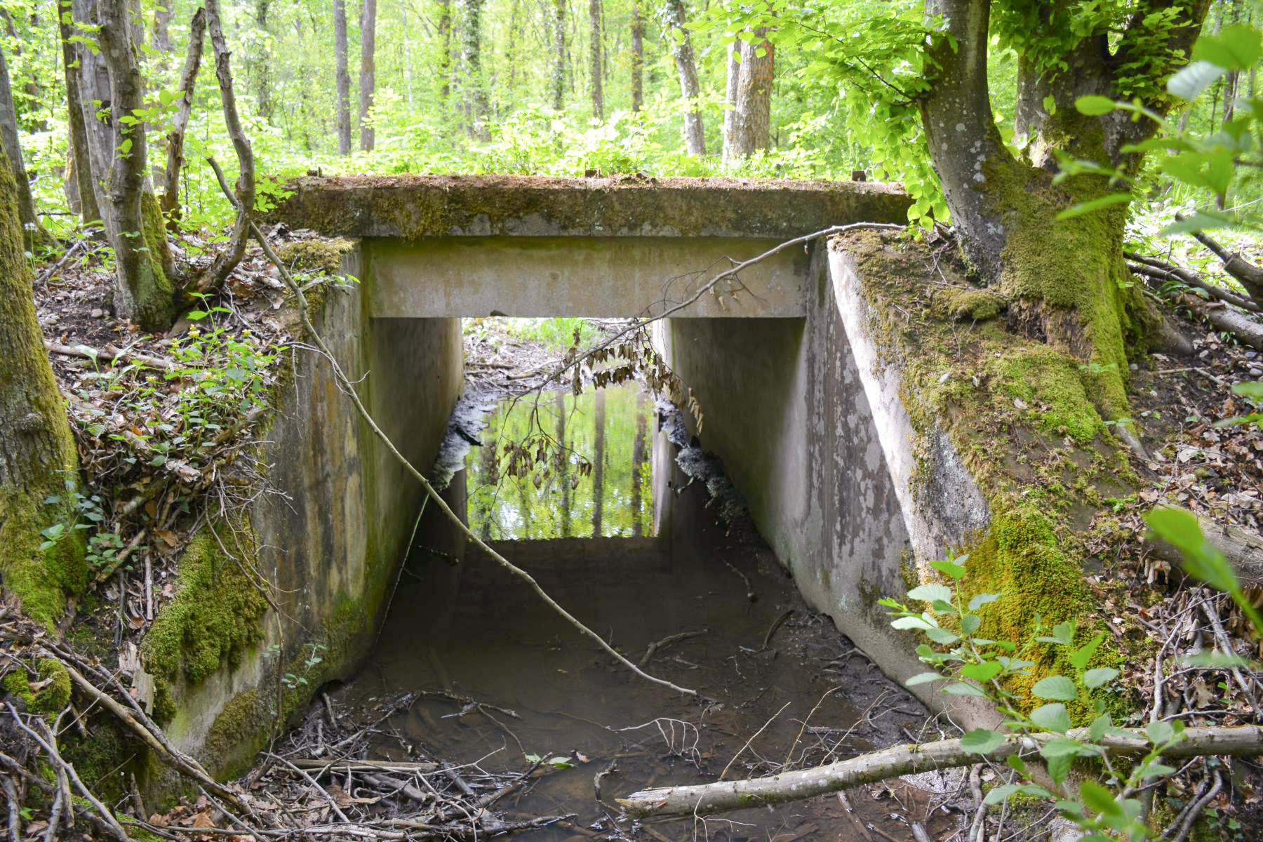 Ligne Maginot - VF60 - ANTENNE DE L'OUVRAGE DU HOCHWALD - (RESEAU - Voie 60 - Antenne ou rocade ferroviaire) - 6 - PONT SUR LE GEFAELLBAECHEL 1
Le pont sur le ruisseau