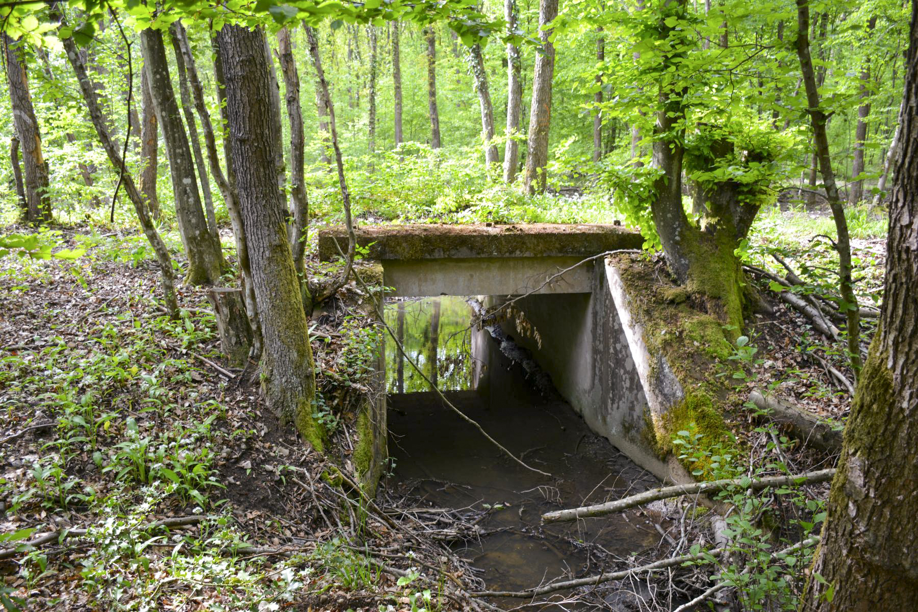 Ligne Maginot - VF60 - ANTENNE DE L'OUVRAGE DU HOCHWALD - (RESEAU - Voie 60 - Antenne ou rocade ferroviaire) - 6 - PONT SUR LE GEFAELLBAECHEL 1
Le pont sur le ruisseau