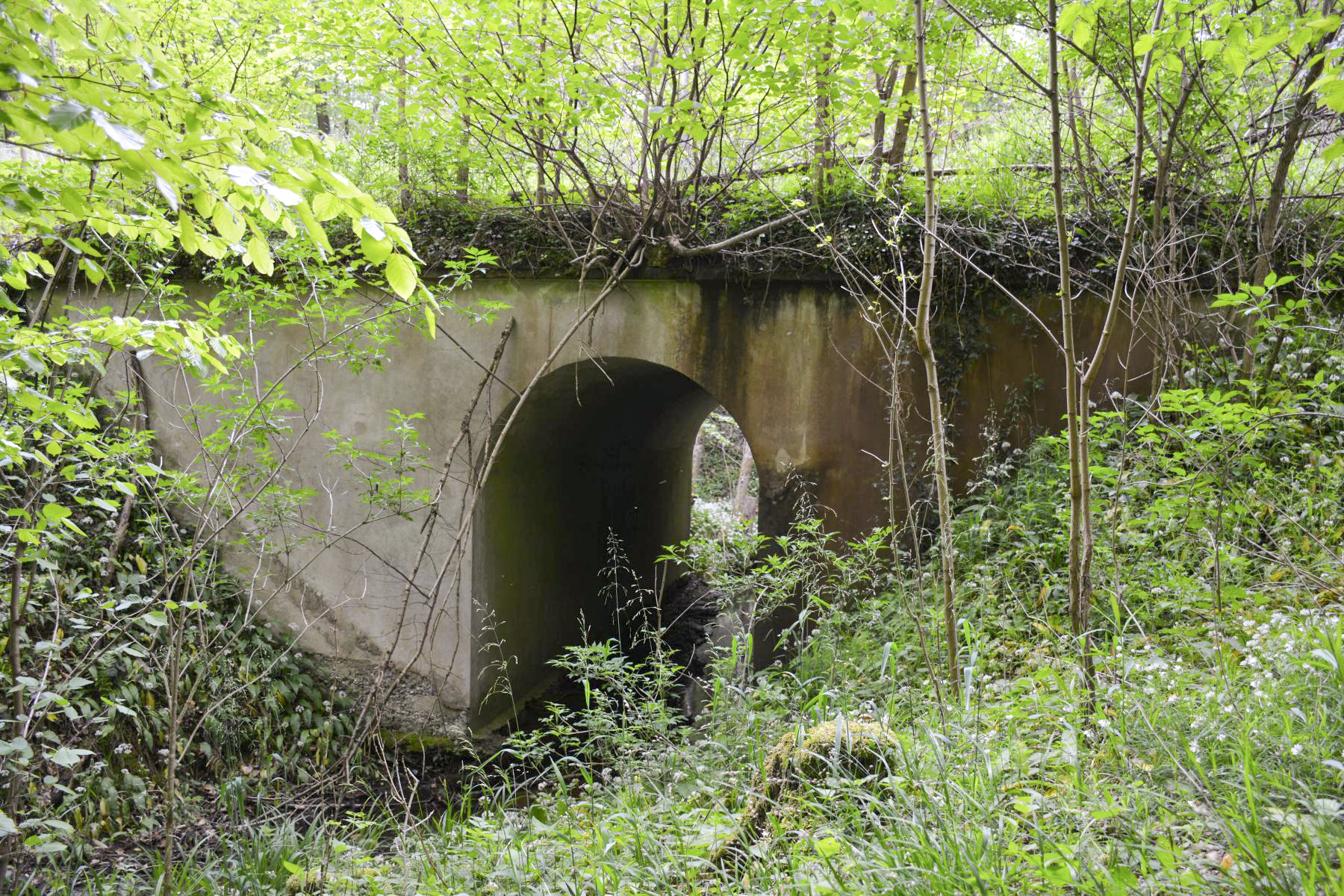 Ligne Maginot - VF60 - ANTENNE DE L'OUVRAGE DU HOCHWALD - (RESEAU - Voie 60 - Antenne ou rocade ferroviaire) - 2 - PONT SUR L'EICHELGRABEN
Le pont est toujours utilisé par le chemin ayant remplacé la V60.
Seules les rambardes ont disparu