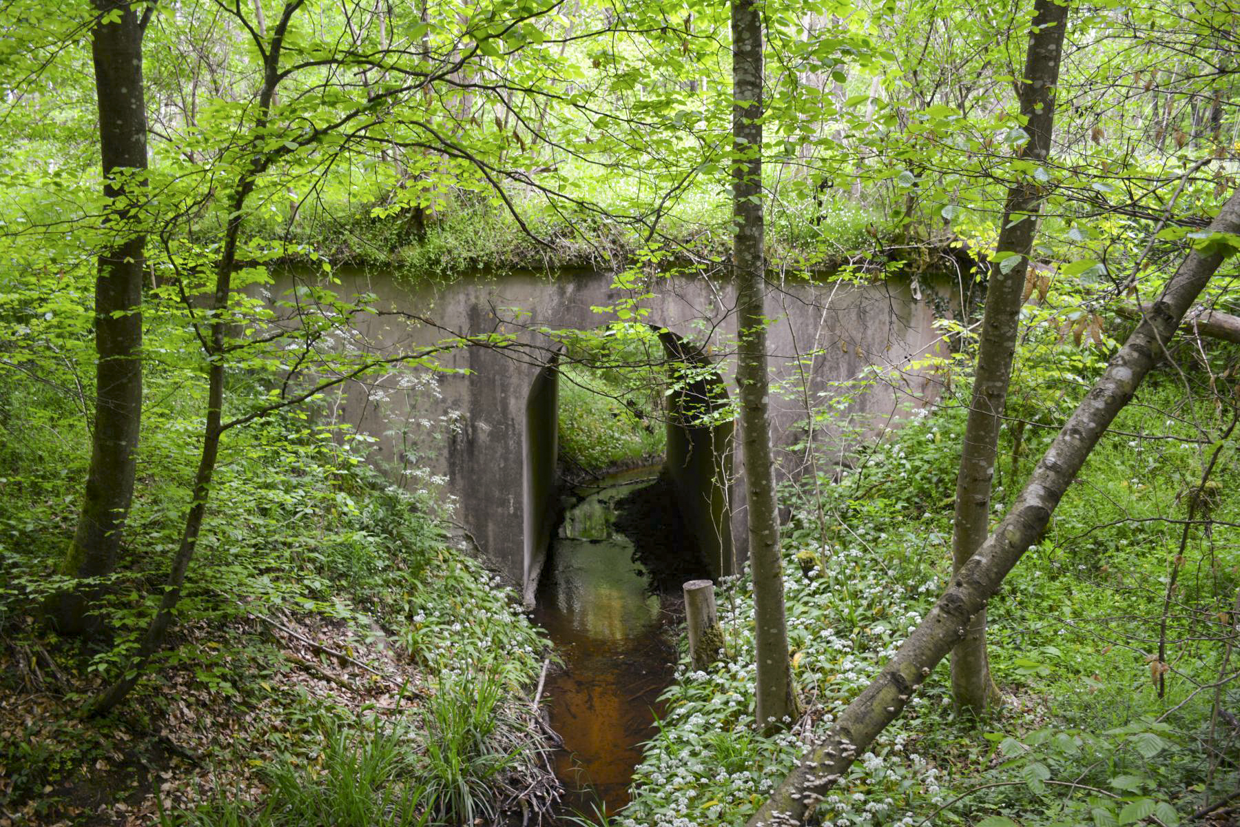 Ligne Maginot - VF60 - ANTENNE DE L'OUVRAGE DU HOCHWALD - (RESEAU - Voie 60 - Antenne ou rocade ferroviaire) - 2 - PONT SUR L'EICHELGRABEN
Le pont est toujours utilisé par le chemin ayant remplacé la V60.
Seules les rambardes ont disparu