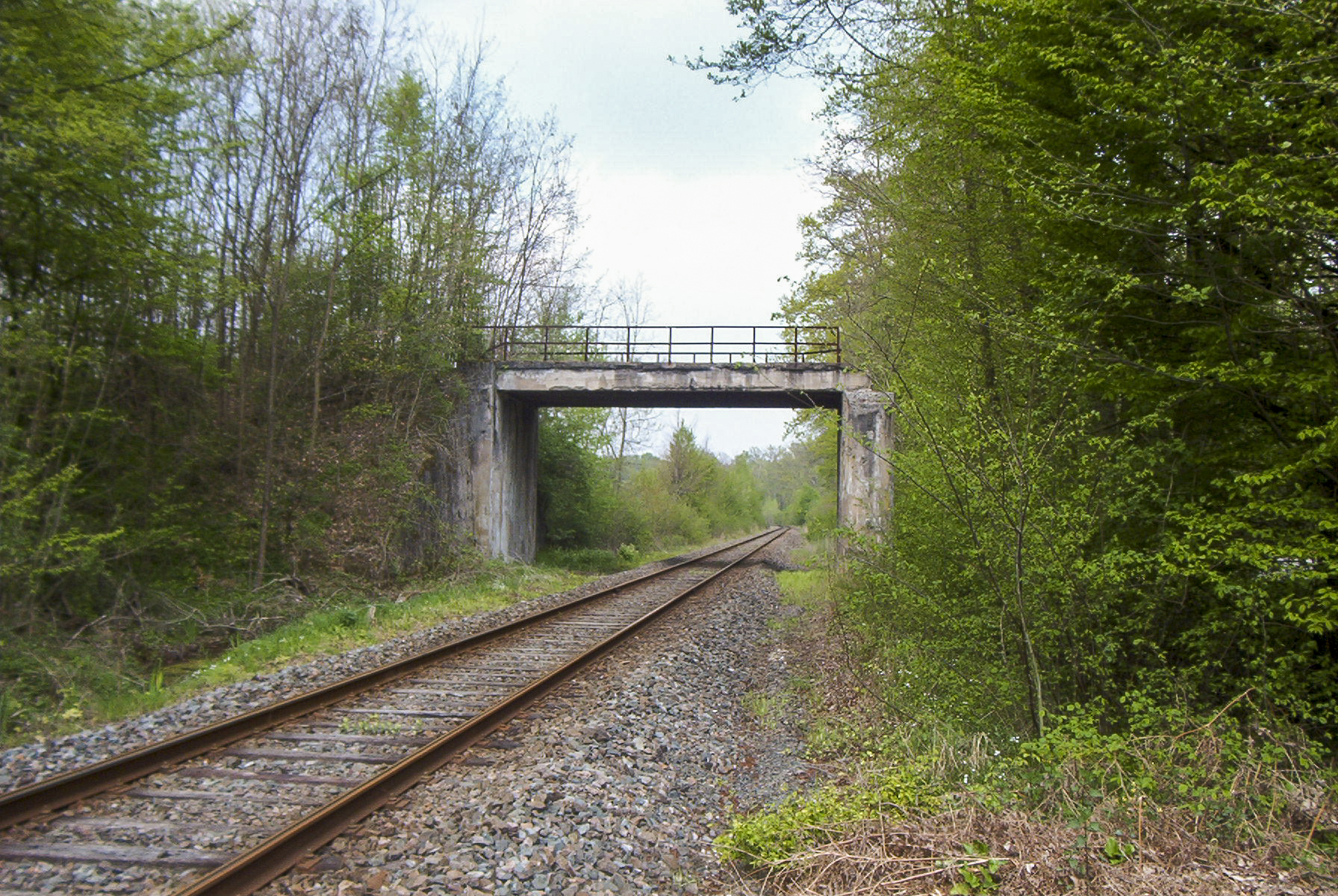 Ligne Maginot - VF60 - ANTENNE DE L'OUVRAGE DU HOCHWALD - (RESEAU - Voie 60 - Antenne ou rocade ferroviaire) - 3 - PS ROUTE VF NEUBOURG
Le passage sur la VF encore en place après 2010