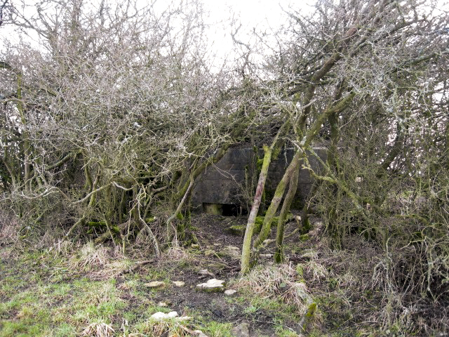 Ligne Maginot - SALWALD 4 - (Blockhaus pour canon) - Vue générale