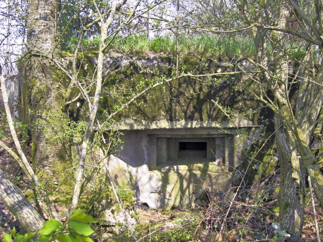 Ligne Maginot - SAUMUEHLE OUEST - (Blockhaus pour arme infanterie) - Créneau pour mitrailleuse - Christian LENHARD