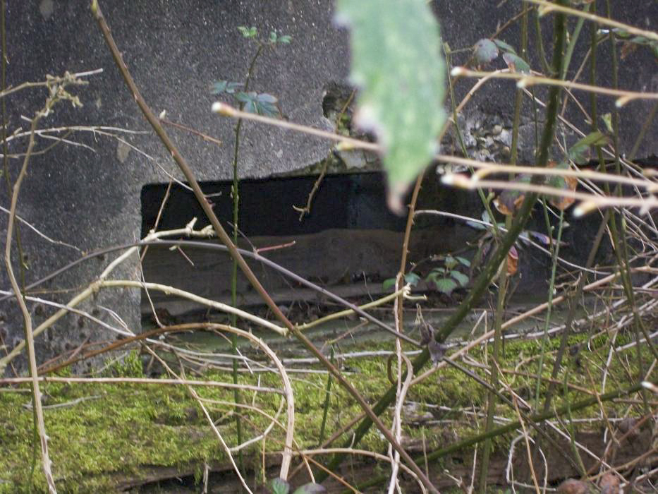 Ligne Maginot - CB111 - OBER INKEL - (Blockhaus pour canon) - 