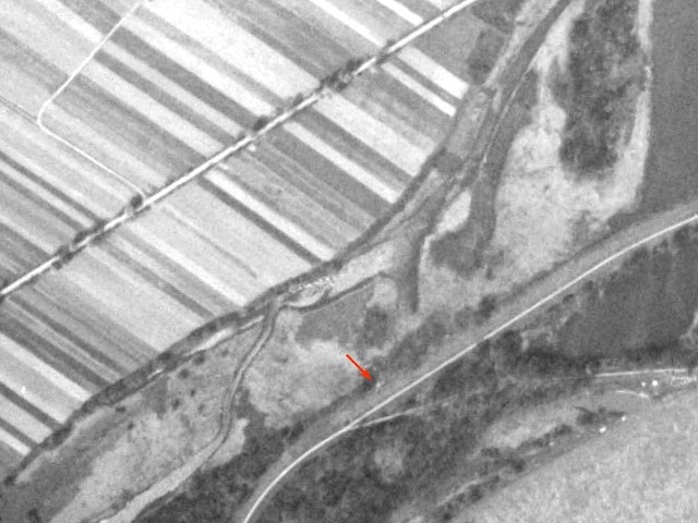 Ligne Maginot - DRUSENHEIM NORD - (Cuve pour arme d'infanterie) -  - IGN - Géoportail 1958