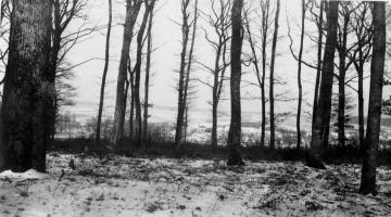 Ligne Maginot - BOUSSE - A24 - (Ouvrage d'infanterie) - Les dessus de l'ouvrage
Vue sur Edling et les avancées par -35 (hiver 1940)