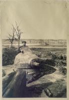 Ligne Maginot - HATTEN OUEST (TD N° 315 ?) - (Cuve pour arme d'infanterie) - Le Lt Allibert dans la tourelle démontable n° 315, PA n°7 Route de Hatten-Buhl