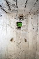 Ligne Maginot - DAUBENSAND 3 - (Blockhaus pour arme infanterie) - Mur arrière