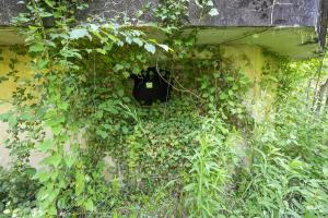 Ligne Maginot - DAUBENSAND 4 - (Blockhaus pour arme infanterie) - 