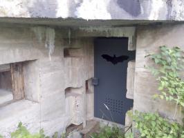 Ligne Maginot - MUEHLGIESSEN OUEST - (Casemate d'infanterie) - L'entrée