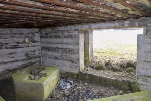 Ligne Maginot - VALLEE D'ALTKIRCHE - (Blockhaus pour canon) - 