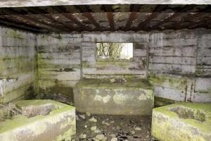 Ligne Maginot - VALLEE D'ALTKIRCHE - (Blockhaus pour canon) - 