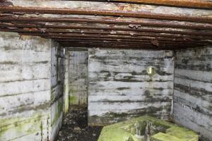 Ligne Maginot - VALLEE D'ALTKIRCHE - (Blockhaus pour canon) - 