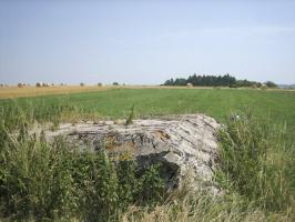Ligne Maginot - WIESWEILLER WALD - (Blockhaus de type indéterminé) - La dalle de toiture.