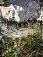 Ligne Maginot - WASENBERG 6 - (Blockhaus pour arme infanterie) - Vue sur le créneau pour mitrailleuse, retapé avec du bois
