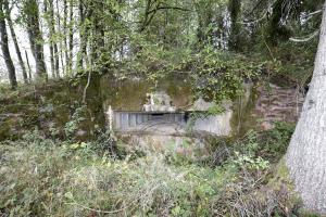 Ligne Maginot - WASENBERG 5 - (Blockhaus pour canon) - 
