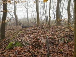 Ligne Maginot - B1 - (Chambre de coupure) - 