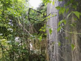Ligne Maginot - BOVENBERG - A27 - (Ouvrage d'infanterie) - Bloc 1
Vue de la façade extérieure de l'entrée des hommes