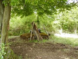 Ligne Maginot - BV22 - (Chambre de coupure) - 