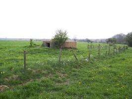 Ligne Maginot - DIEBELSWIESE - (Blockhaus pour arme infanterie) - 