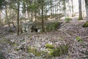 Ligne Maginot - FERME DE HEILIGENBRONN - (153° RIF - 59° RAMF) - (PC de Sous-Secteur) - PC et l'abri n°1