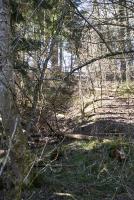 Ligne Maginot - FERME DE HEILIGENBRONN - (153° RIF - 59° RAMF) - (PC de Sous-Secteur) - Une tranchée 39/40 où 44/45 ?