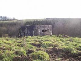 Ligne Maginot - GALGENBERG 4 - (Blockhaus pour arme infanterie) - Vue générale