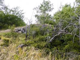 Ligne Maginot - AMODON - (Observatoire d'infanterie) - Vue sur le créneau observatoire Sud-Est