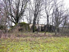 Ligne Maginot - HAMMELSWIESE 6 - (Blockhaus pour arme infanterie) - Vue générale