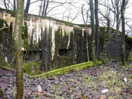Ligne Maginot - HAMMELSWIESE 6 - (Blockhaus pour arme infanterie) - Façade de tir