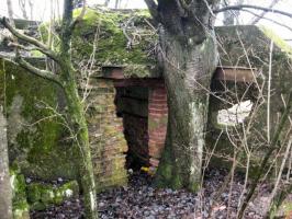 Ligne Maginot - HAMMELSWIESE 6 - (Blockhaus pour arme infanterie) - L'observatoire