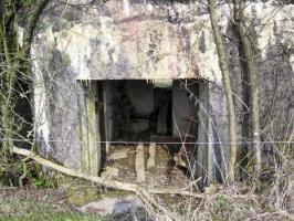 Ligne Maginot - HAMMELSWIESE  8 - (Blockhaus pour canon) - L'entrée du matériel