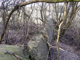 Ligne Maginot - HAMMELSWIESE 9 - (Blockhaus pour canon) - Mur d'aile