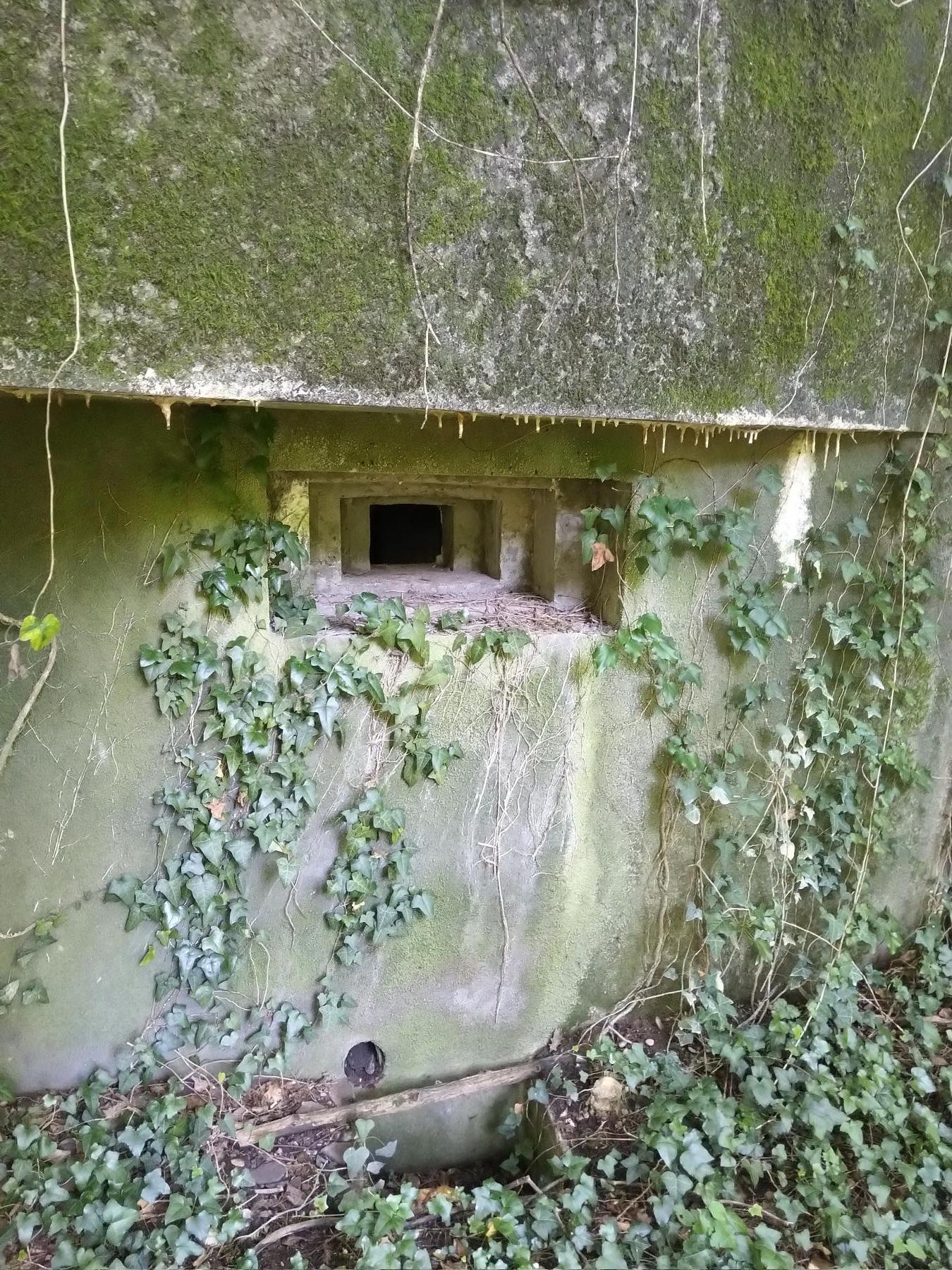 Ligne Maginot - SCHIRRHEINERWEG EST - (Casemate d'infanterie) - 