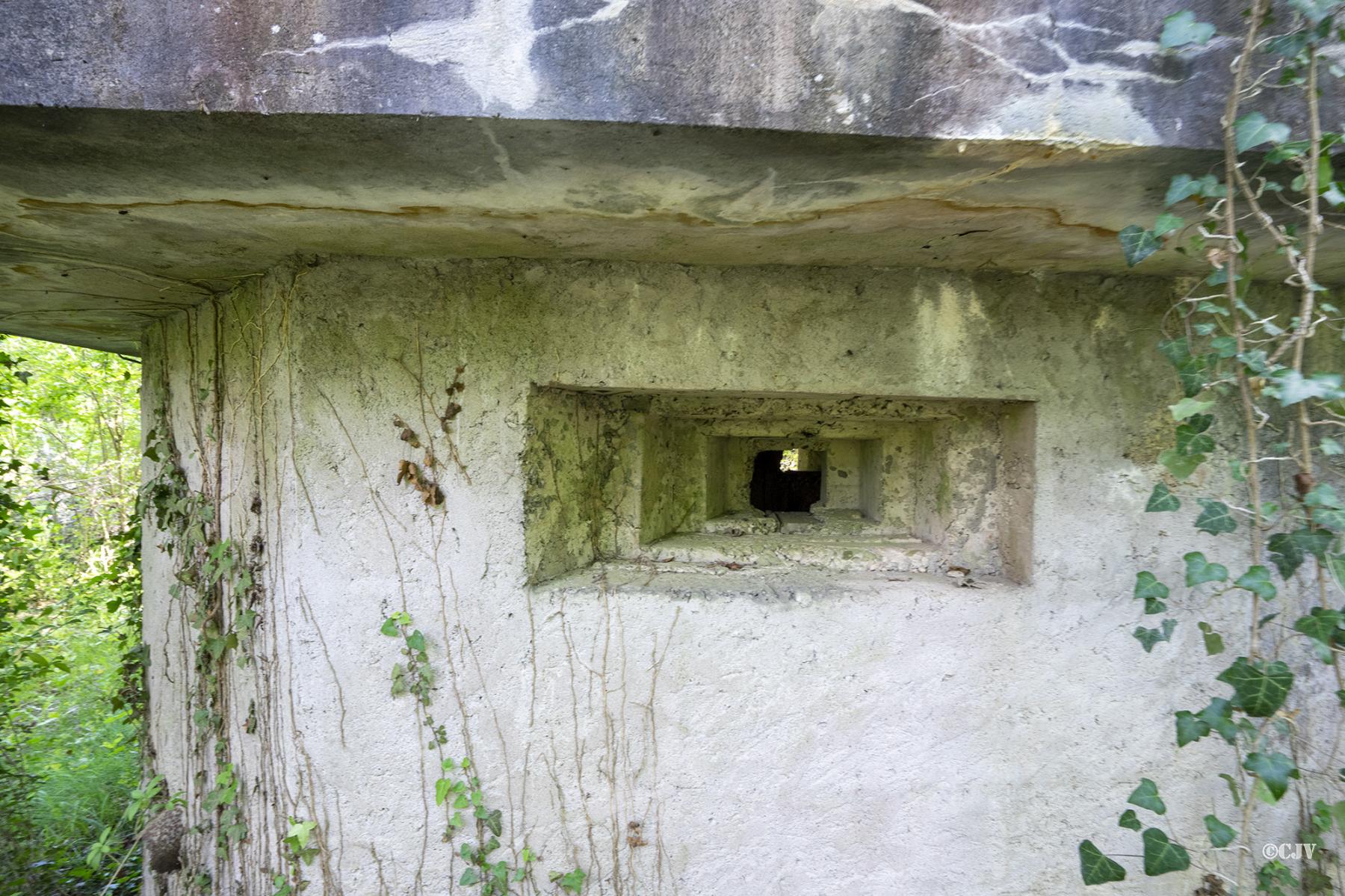 Ligne Maginot - DAUBENSAND 3 - (Blockhaus pour arme infanterie) -  - Lia VERMEULEN