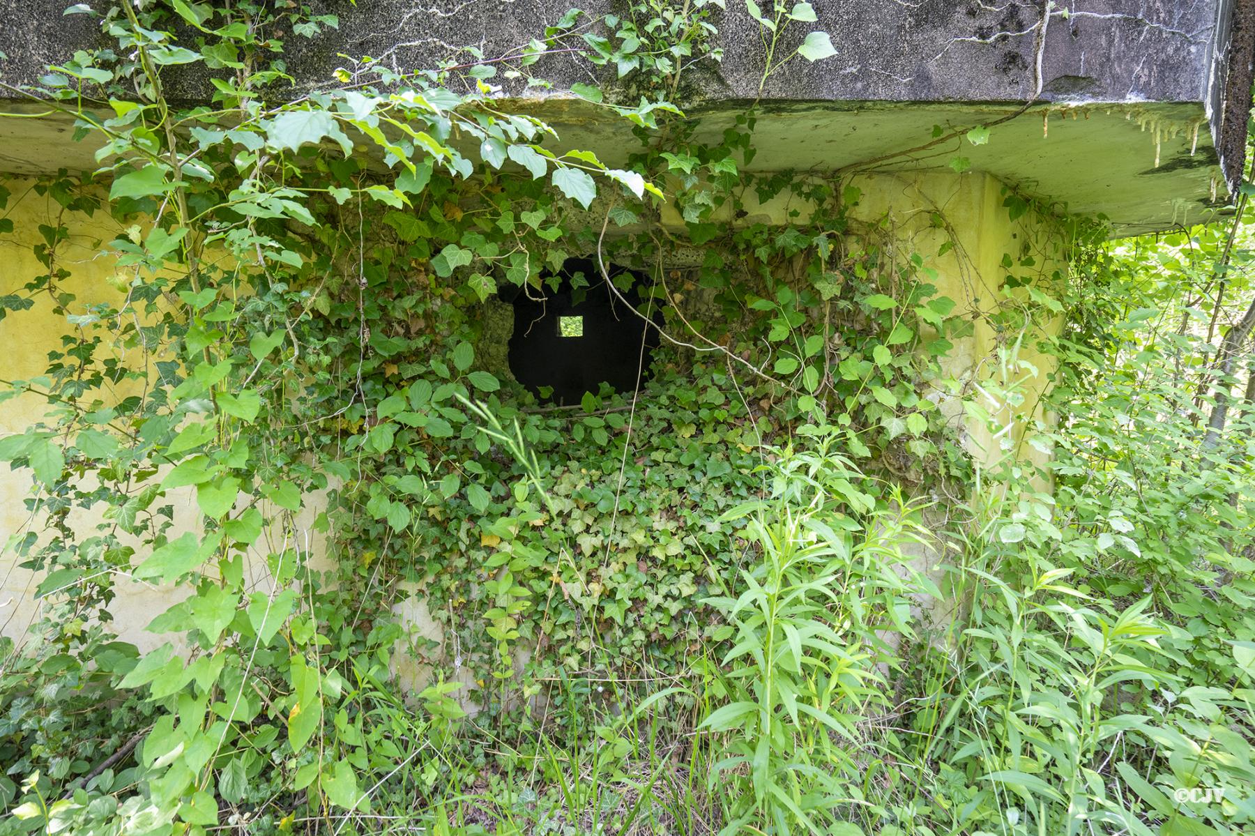 Ligne Maginot - DAUBENSAND 4 - (Blockhaus pour arme infanterie) -  - Lia VERMEULEN