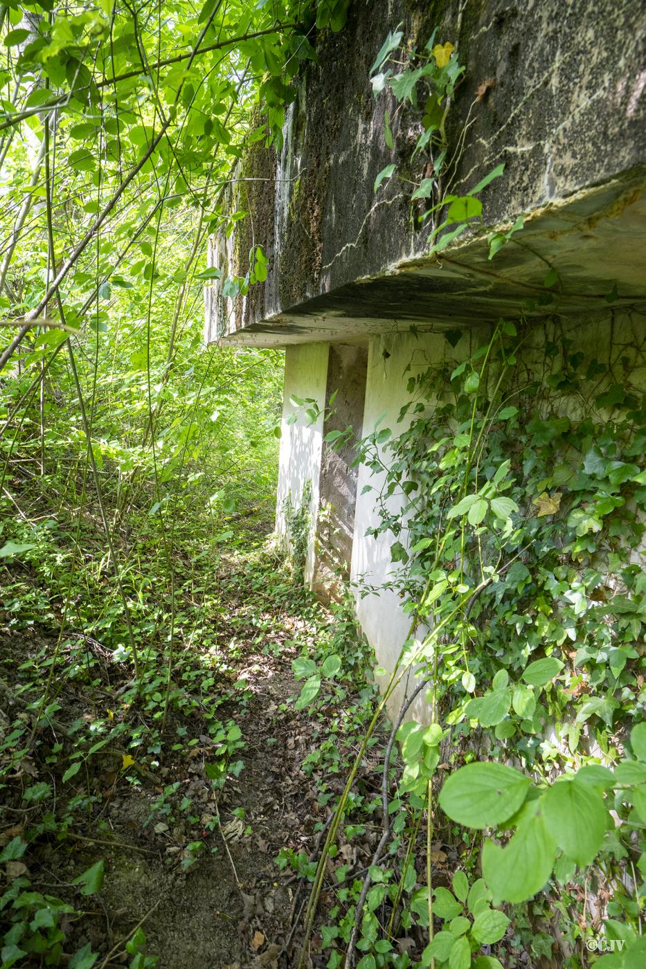 Ligne Maginot - DAUBENSAND 4 - (Blockhaus pour arme infanterie) -  - Lia VERMEULEN