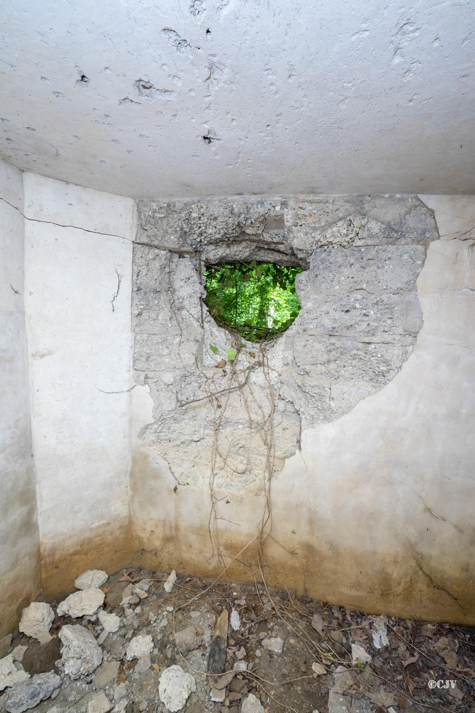 Ligne Maginot - DAUBENSAND 4 - (Blockhaus pour arme infanterie) - Créneau de droite - Lia VERMEULEN