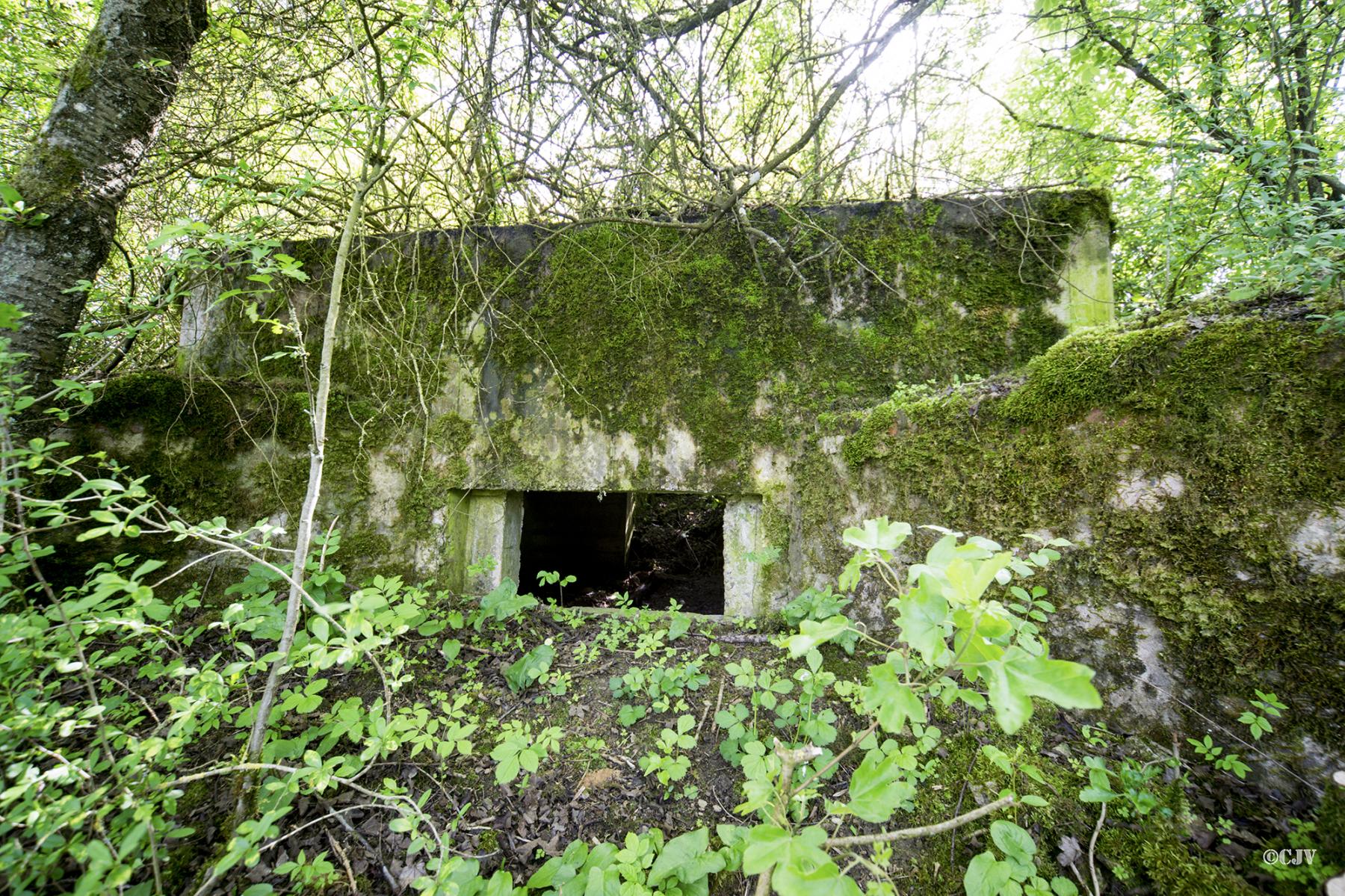 Ligne Maginot - STATION 1 - (Blockhaus pour canon) - 