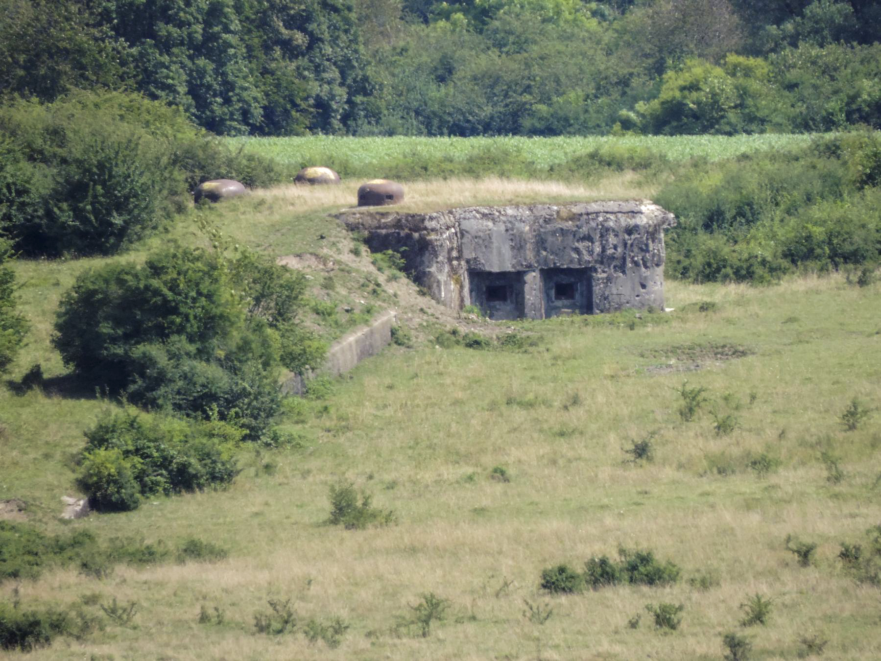Ligne Maginot - STATION DE ROHRBACH - (Casemate d'infanterie) - Casemate de la Station Rohrbach vue depuis le PO de Rohrbach