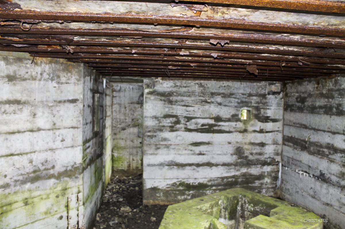 Ligne Maginot - VALLEE D'ALTKIRCHE - (Blockhaus pour canon) -  - Christian LENHARD