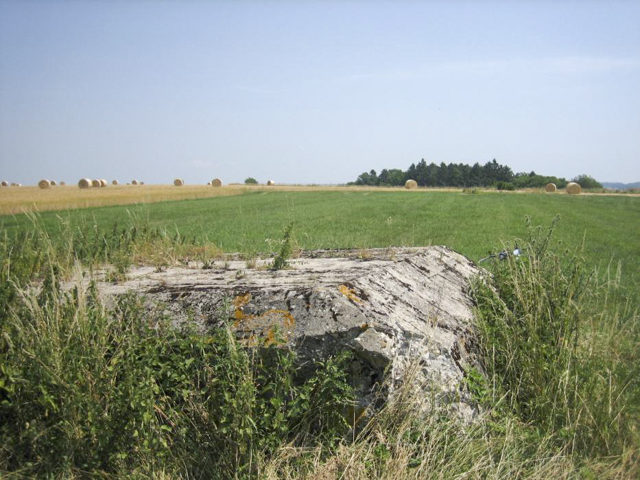 Ligne Maginot - WIESWEILLER WALD - (Blockhaus de type indéterminé) - La dalle de toiture.